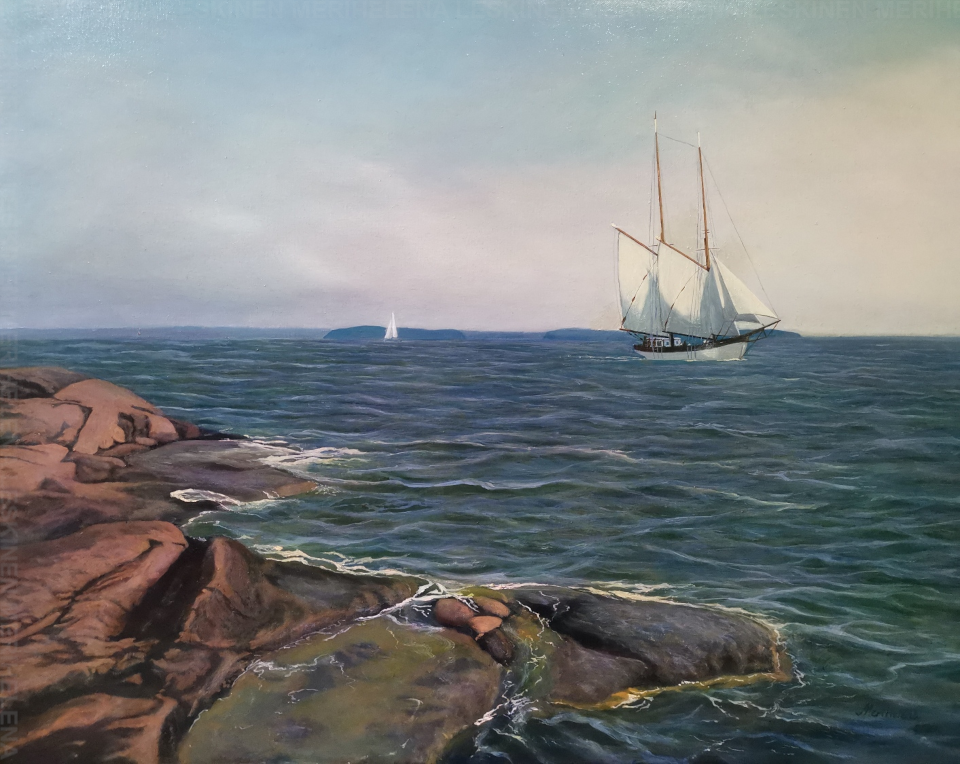 Merimaisema, Skallerhamn